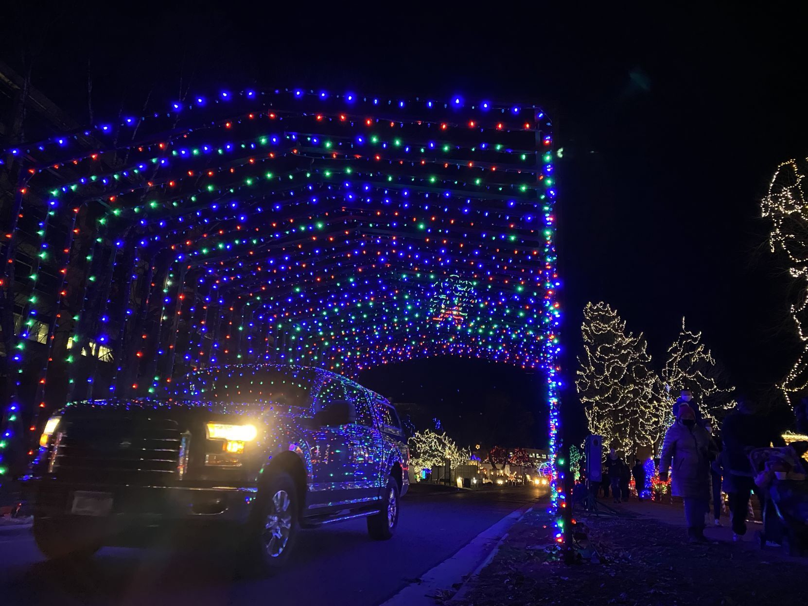 Christmas cruise